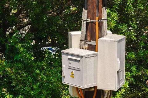 Electrical Utility Boxes and Wiring on Wooden Pole Among Green Foliage Stock Photos