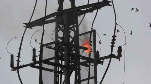 Electrical utility high voltage line transformer explodes and burns Stock-Footage 167235616