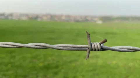Electrical wire fence around pasture Stock Footage 151485979