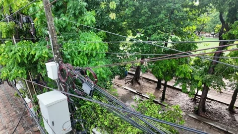 Electrical wires and cables tangled around utility poles with lush green trees i Stock Footage 278642629