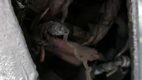 Electrical wires are dangerously entangled with each other. Bad electrician Video stock 139688274