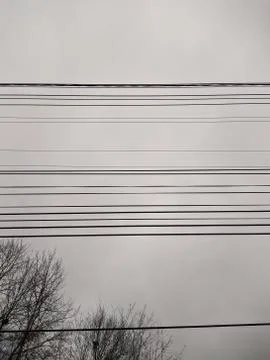 Electrical wires on a background of gray sky and dry tree branches Stock Photos