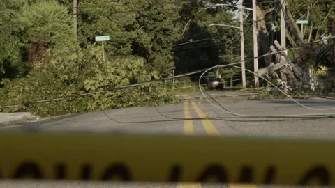 Electrical-wires-down 스톡 동영상 219436498