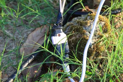 Electrical wires in the park, on the ground. Stock Photos
