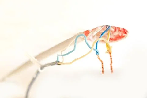 Electrical work, installation of a switch or sockets, wire twisting Photos