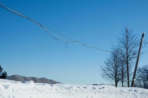 An electricity cable was torn due to heavy snowfall Stock Photos