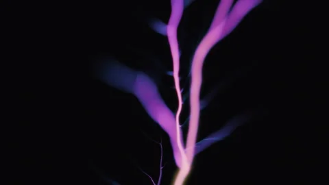 Electricity Stock Footage 320331675