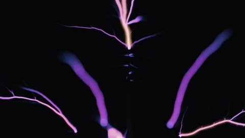 Electricity Stock Footage 320331834