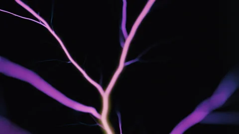 Electricity Stock Footage 320332107