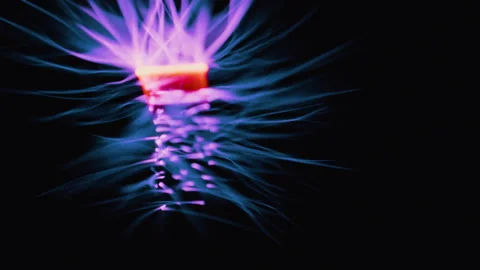 Electricity Stock Footage 320332496