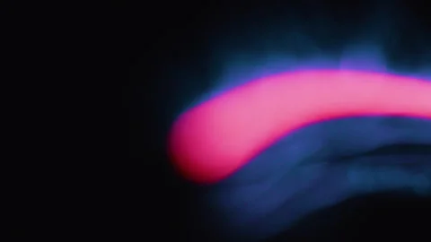 Electricity Stock Footage 320332516