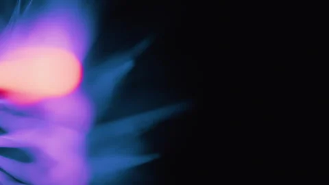 Electricity Stock Footage 320332625