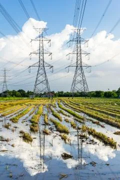 Electricity high voltage power post in paddy field Stock Photos