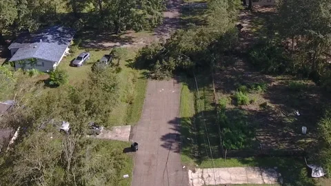 Electricity outage tree down on powerline Video stock 140885194