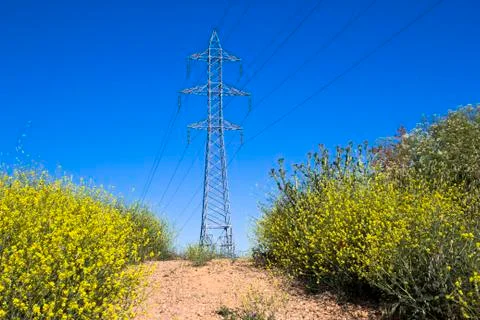 Electricity Stock Photos
