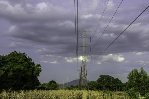 Electricity pole with green corn fields against silhouette sunset sky, Electr Foto stock