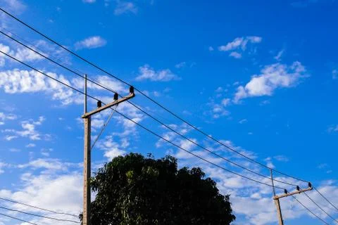 Electricity post Stock Photos