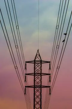 Electricity post Stock Photos