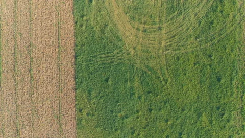 Electricity power tower on the ground. Stock Footage 102598884