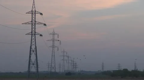 Electricity pylon and crows in flight Stock Footage 12189902