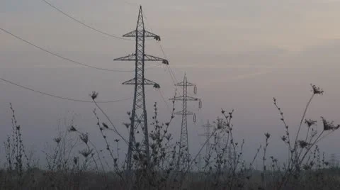 Electricity pylon and crows in flight Video stock 12189928
