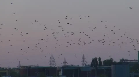 Electricity pylon Vídeos de archivo 11942779