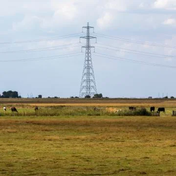 Electricity pylon Stock Photos