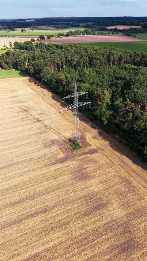 Electricity pylon in vertical at field and forest edge Stock Footage 341863819