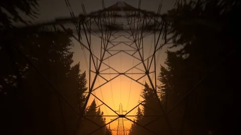 Electricity pylons in the forest during sunset Stock Footage 76699571