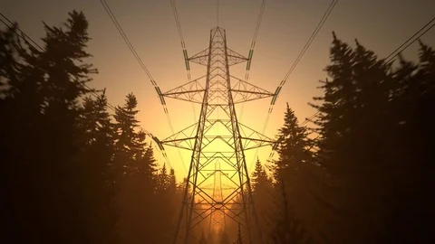 Electricity pylons in the forest during sunset Stock Footage 76700142