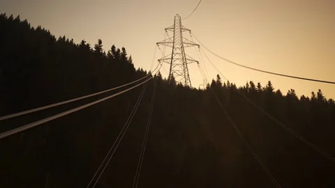 Electricity pylons in the forest during sunset Video stock 77296054