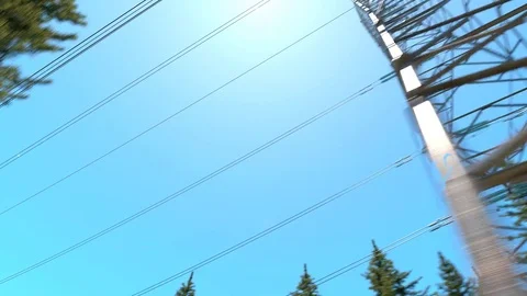 Electricity pylons in the forest midday Stock Footage 76698790