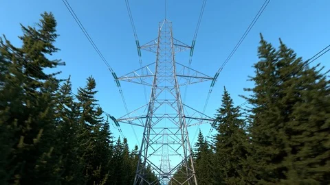Electricity pylons in the forest midday Video stock 77337192