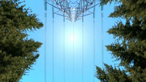 Electricity pylons in the forest midday Stock Footage 77382868