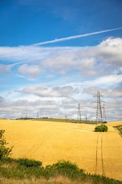 Electricity pylons Fotos Stock