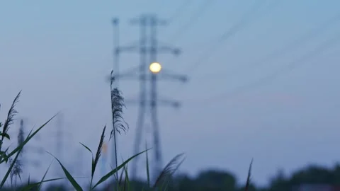 Electricity tower with power lines, focus shift Stock Footage 240984364
