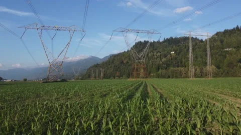 Electricity towers front fast movement Stock Footage 200860368