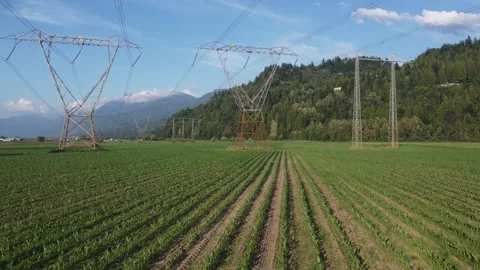 Electricity towers front Stock Footage 200860369