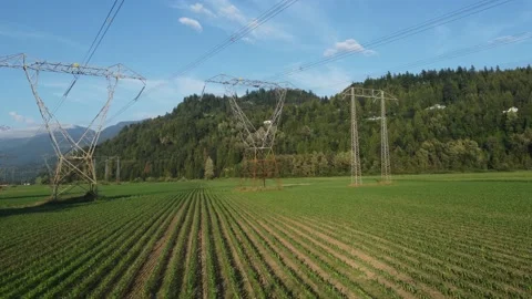 Electricity towers side pan 2 Stock Footage 200860372