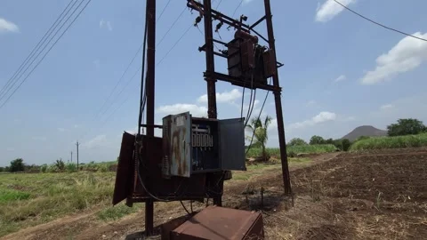 An electricity transformer powers a sustainable sugarcane plantation. Rural cult Stock Footage 336561585
