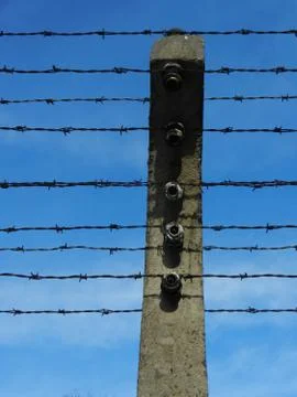 Electrified barbed wire Stock Photos