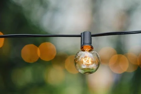 The electrifying design of the lamp blends seamlessly with the beauty of natu Stock Photos