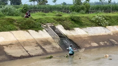 Electrofishing Activity in a Shallow River 스톡 동영상 308263015