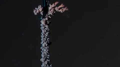 Electrolysis of copper. Electrolytic reduction of copper from solution Video stock 75689379