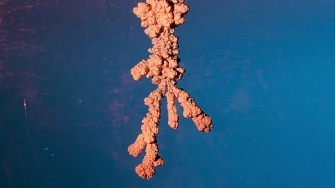 Electrolysis of copper. Electrolytic reduction of copper from solution Video stock 75689592