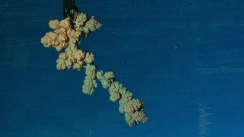 Electrolysis of copper. Electrolytic reduction of copper from solution Video stock 75690572
