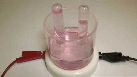 Electrolysis of water (time lapse) Stock Footage 89967709