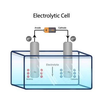 Electrolytic cell diagram with anode and cathode electrodes. Illustrazione stock