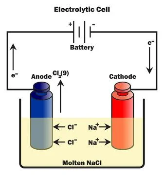 Electrolytic cell infographic diagram with components Stock-Illustration