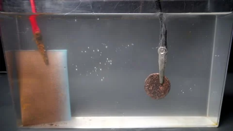 As electrolytic cleaning begins bubbles rise from ancient Roman coin. Video stock 321352446